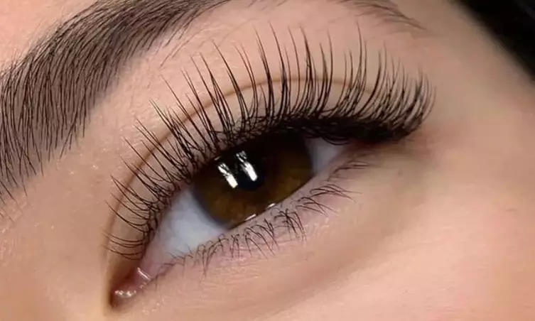 classic lashes 2